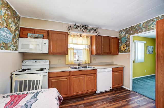 kitchen with dark hardwood / wood-style flooring, sink, and white appliances