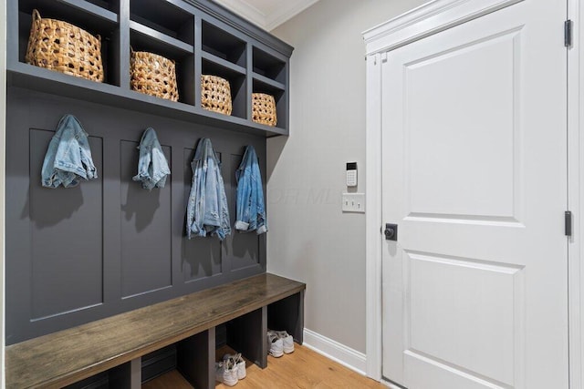 mudroom featuring ornamental molding and wood-type flooring