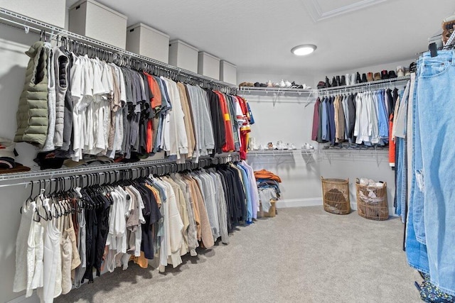 walk in closet with carpet