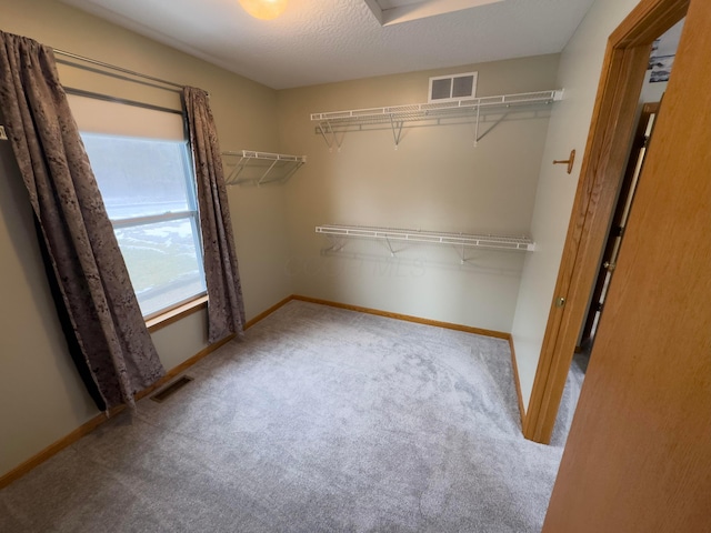 spacious closet with carpet floors