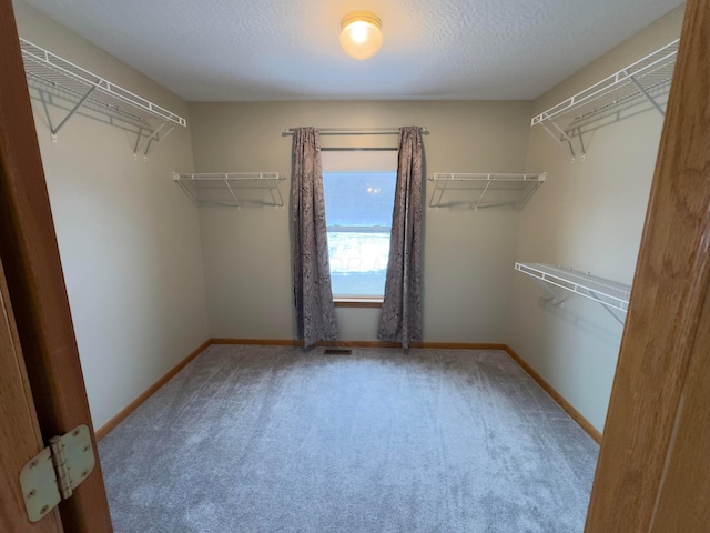 walk in closet with carpet