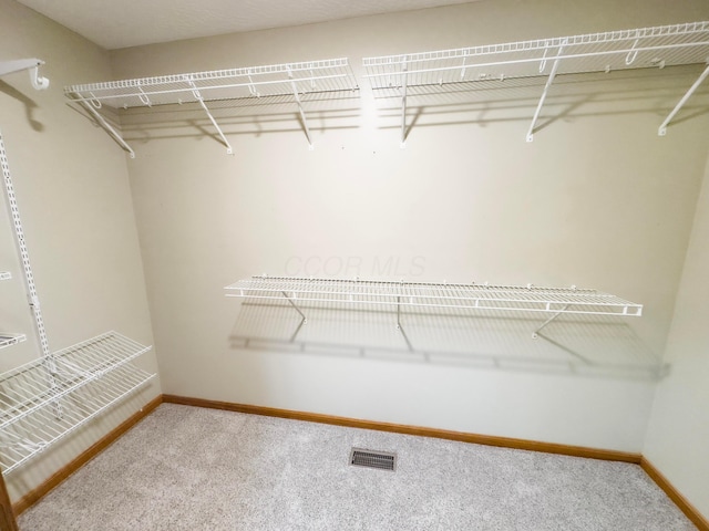 spacious closet featuring carpet floors