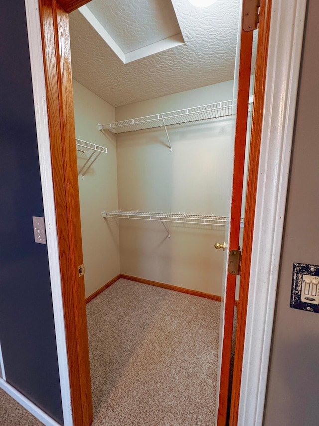 walk in closet with carpet