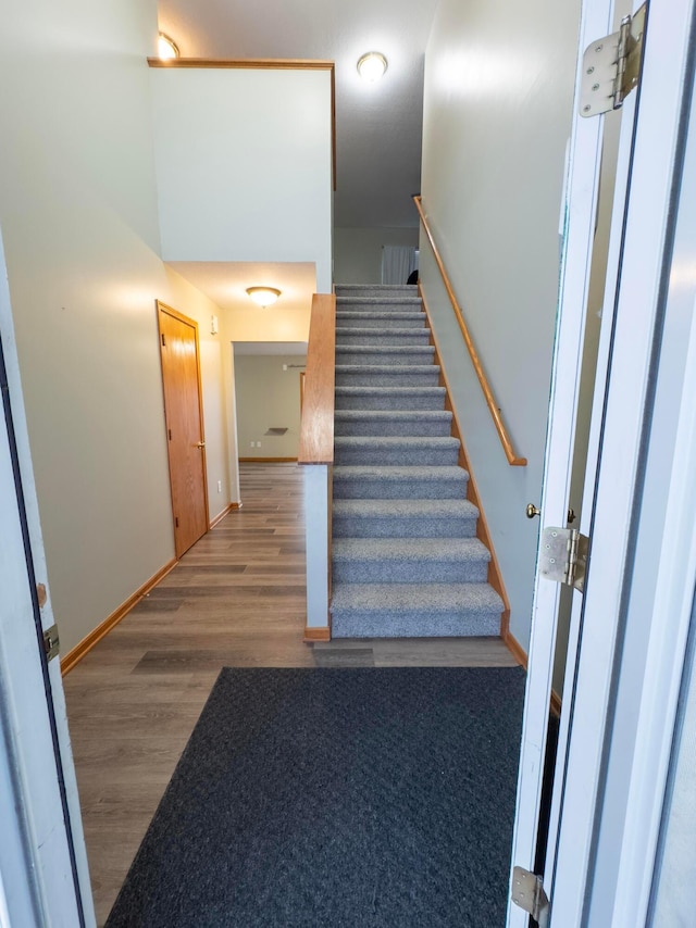 staircase featuring wood-type flooring