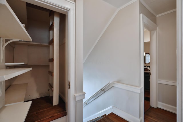 stairway featuring ornamental molding and hardwood / wood-style floors