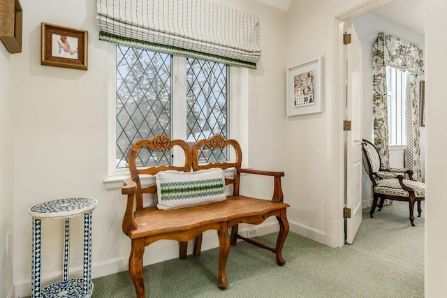 living area featuring carpet flooring