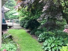 view of yard featuring a deck