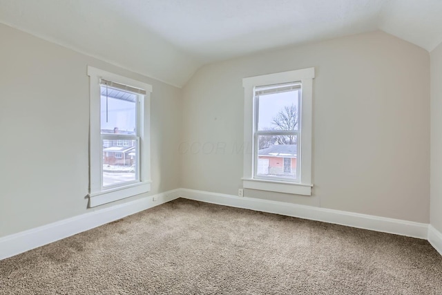 additional living space featuring a healthy amount of sunlight, carpet flooring, and vaulted ceiling