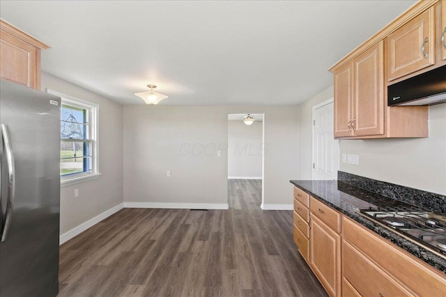 kitchen with dark wood-type flooring, baseboards, light brown cabinetry, and stainless steel appliances