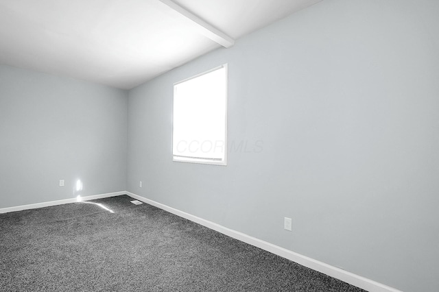 spare room with carpet flooring