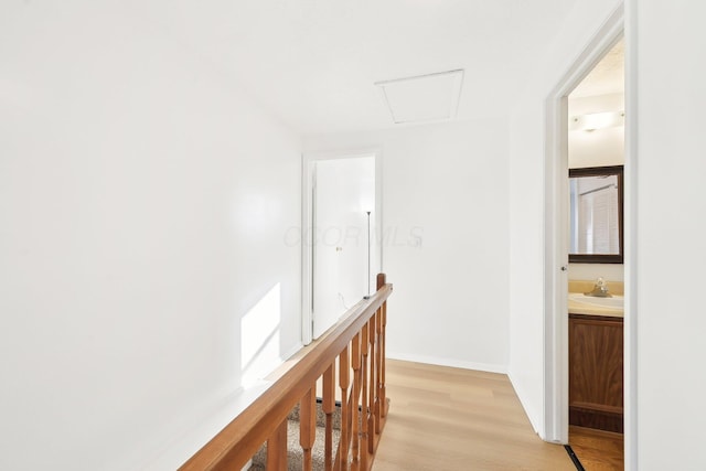 hall with sink and light hardwood / wood-style flooring