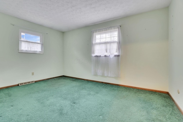 carpeted empty room with a healthy amount of sunlight and a textured ceiling