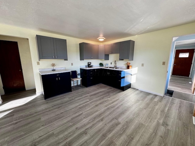 kitchen featuring hardwood / wood-style flooring, gray cabinets, sink, and a textured ceiling