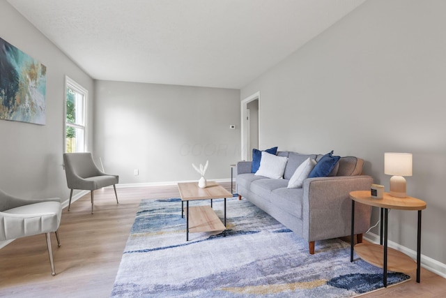 living room featuring light hardwood / wood-style flooring