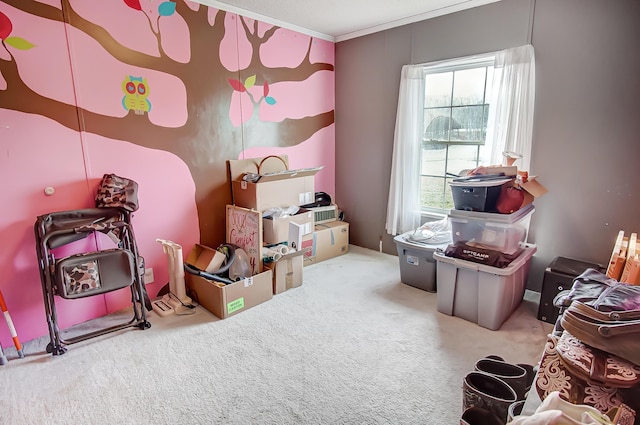 interior space featuring carpet floors