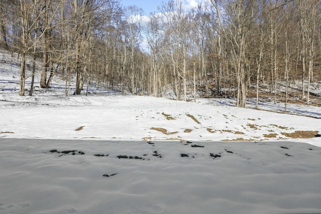 view of yard covered in snow