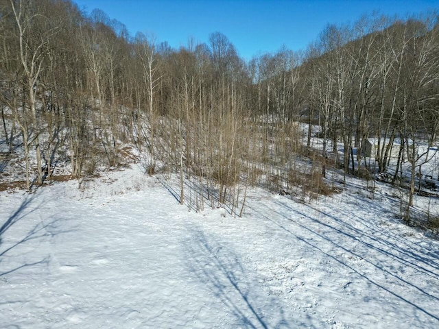 view of snowy landscape