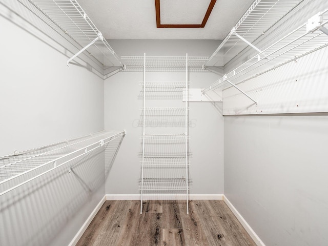 walk in closet with hardwood / wood-style flooring