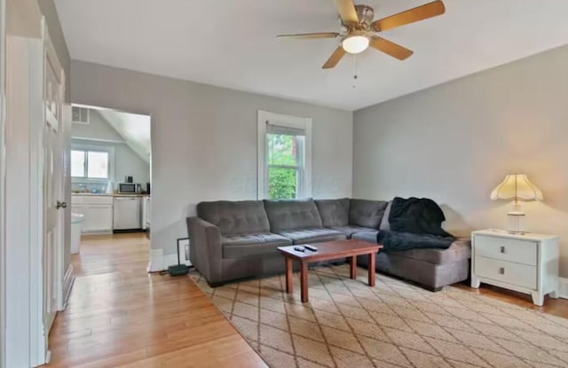 living room featuring ceiling fan and light hardwood / wood-style flooring