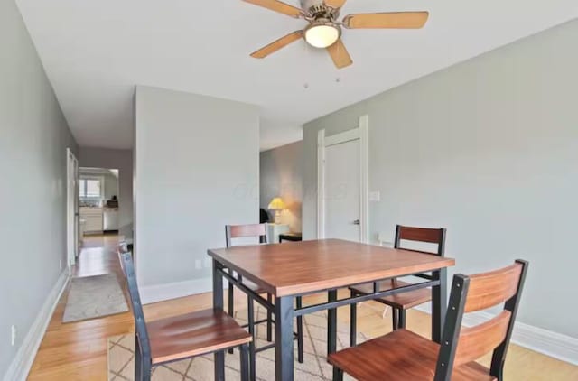 dining area with ceiling fan and light wood-type flooring