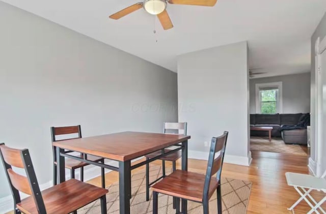 dining room with ceiling fan and light hardwood / wood-style flooring