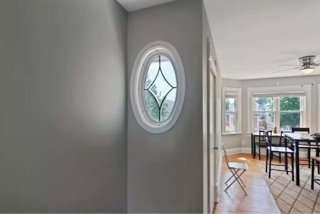 doorway to outside with light wood-type flooring and ceiling fan