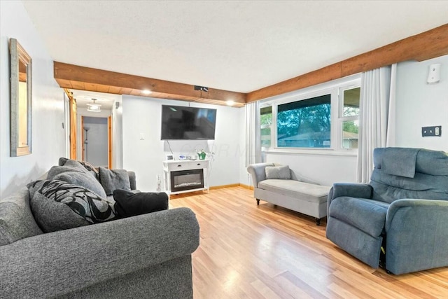 living room featuring light wood-type flooring