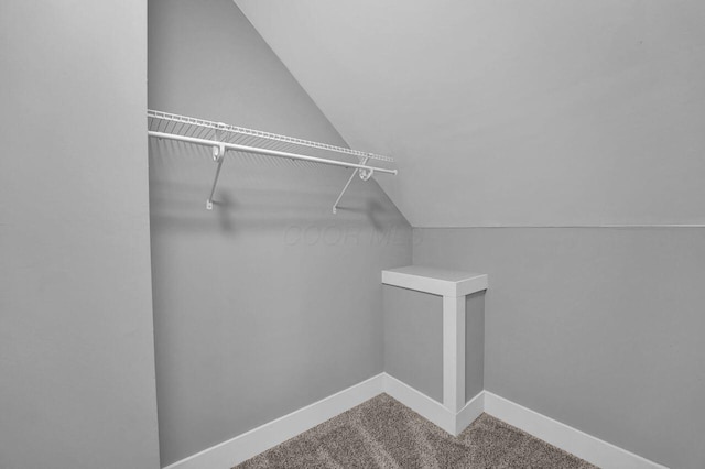 walk in closet featuring carpet floors and vaulted ceiling