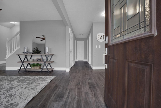 entryway featuring dark hardwood / wood-style flooring