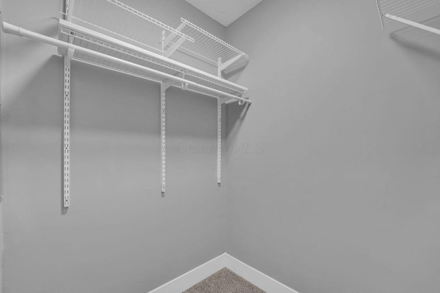 walk in closet with carpet