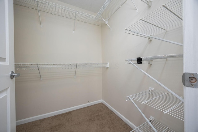 spacious closet with carpet flooring