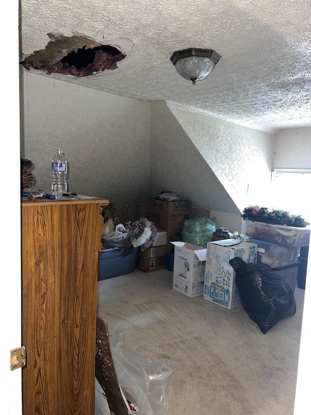 interior space featuring carpet, lofted ceiling, and a textured ceiling