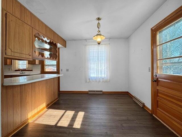 kitchen featuring dark hardwood / wood-style flooring, hanging light fixtures, and a baseboard heating unit