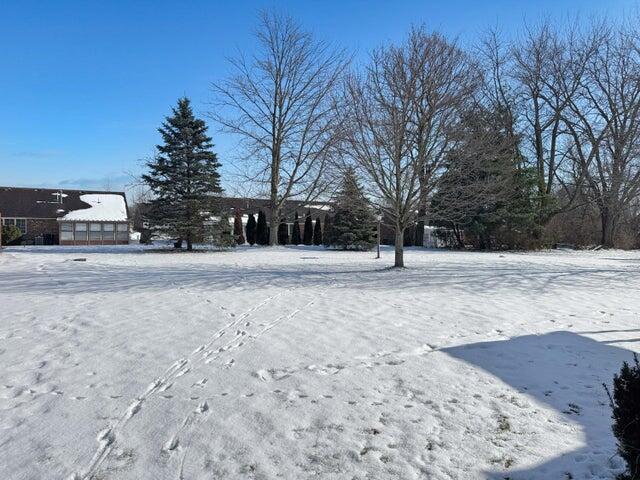 view of snowy yard