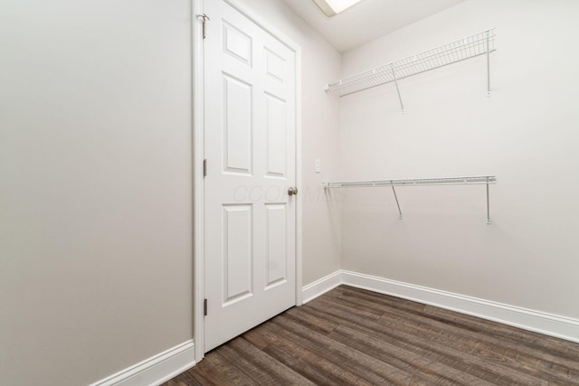 walk in closet with dark wood-type flooring