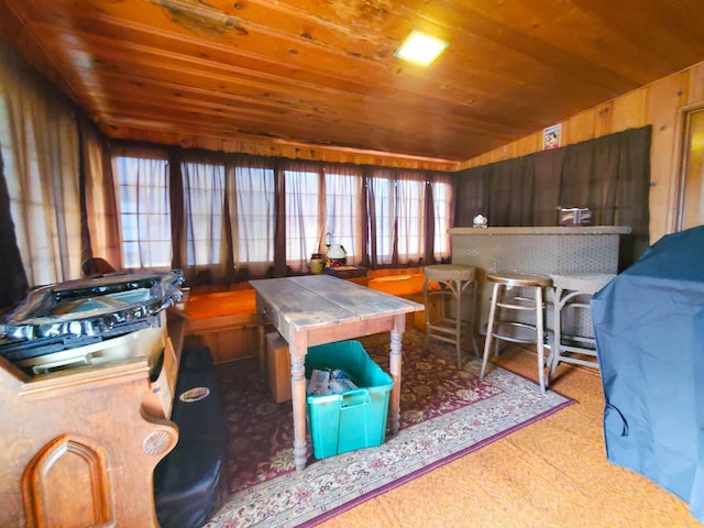 interior space featuring wooden ceiling and wooden walls