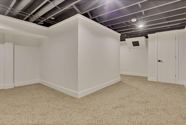 basement featuring carpet