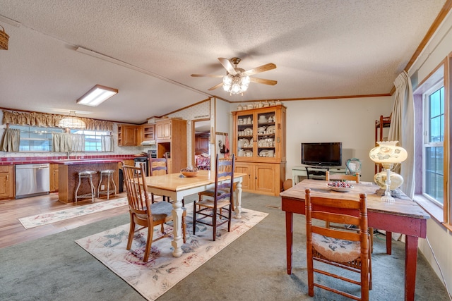 carpeted dining space featuring ceiling fan, ornamental molding, and a textured ceiling