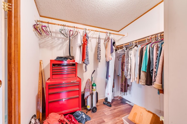 walk in closet with hardwood / wood-style floors