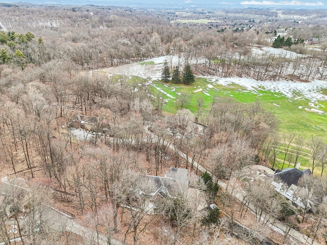 bird's eye view