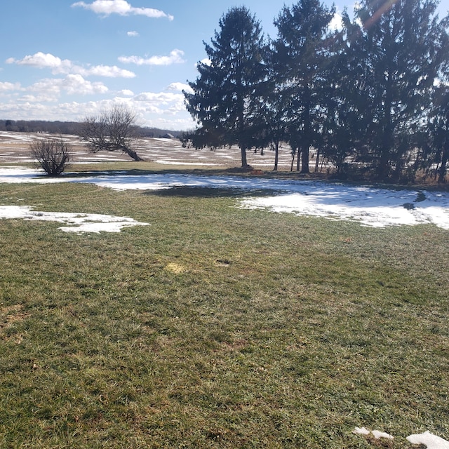 view of yard with a rural view