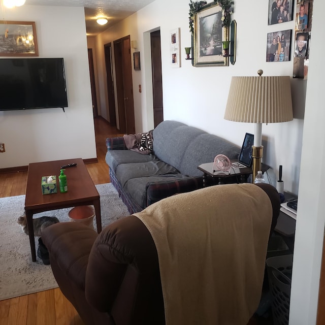 living room with hardwood / wood-style flooring