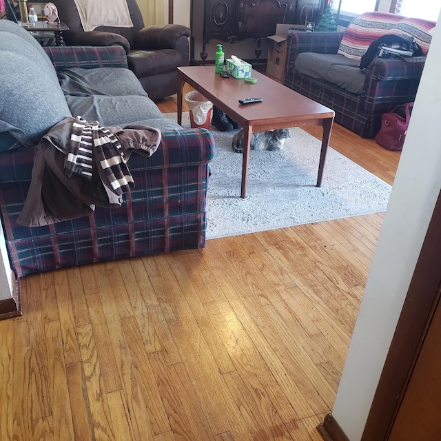 living room featuring wood-type flooring