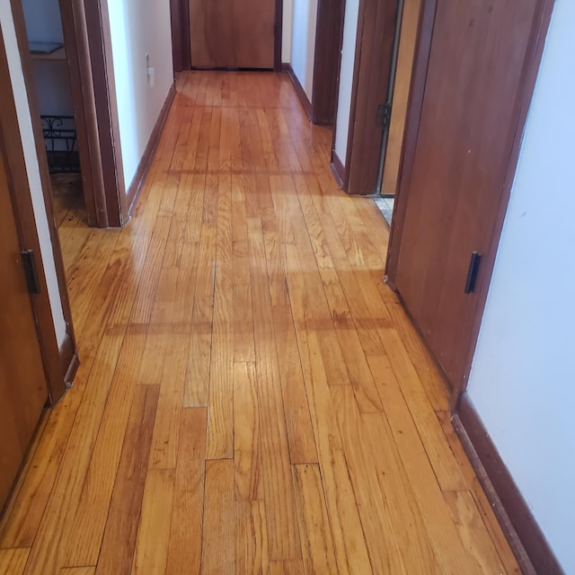 hall featuring light wood-type flooring