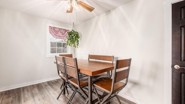 dining space with hardwood / wood-style flooring and ceiling fan