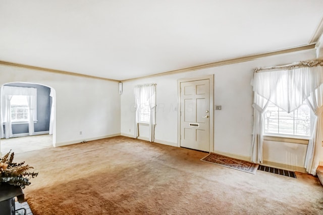 unfurnished living room featuring ornamental molding, carpet, and plenty of natural light