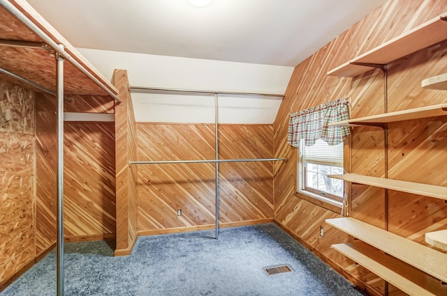 spacious closet featuring carpet