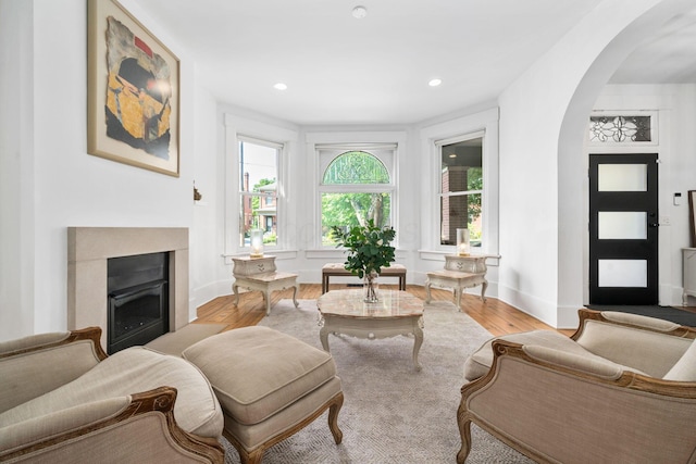 living room with light hardwood / wood-style flooring