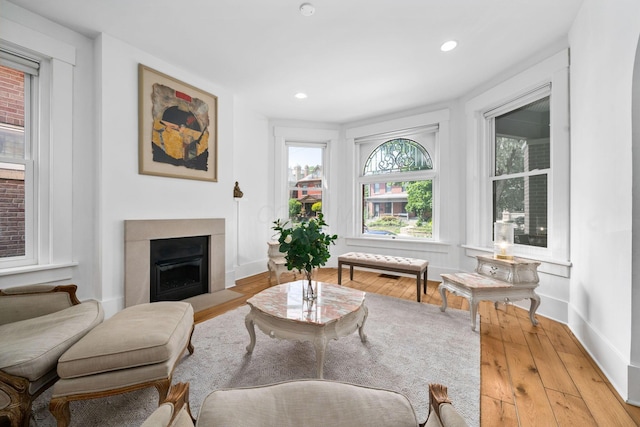 living area featuring light hardwood / wood-style flooring