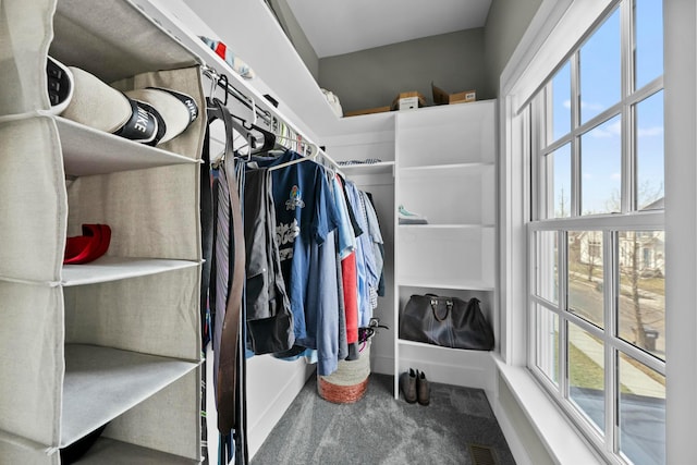 spacious closet with carpet flooring